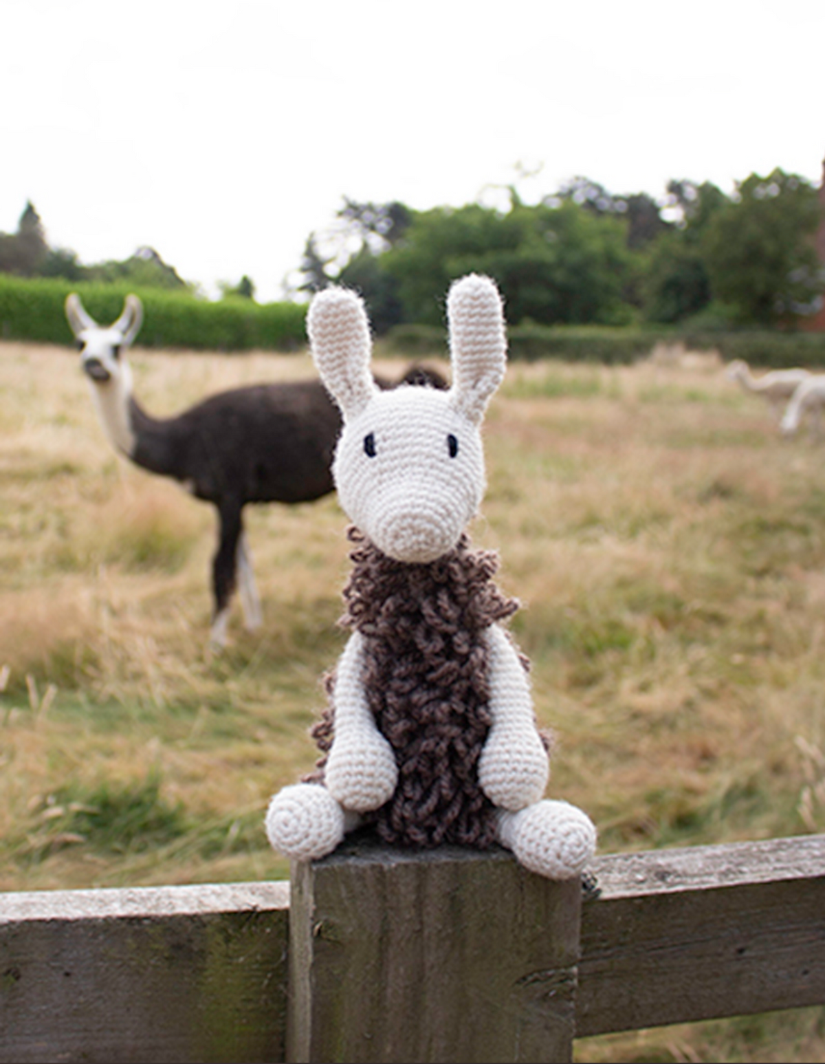 TOFT - The New Collection: Edward's Menagerie Book by Kerry Lord - YourNextKnit