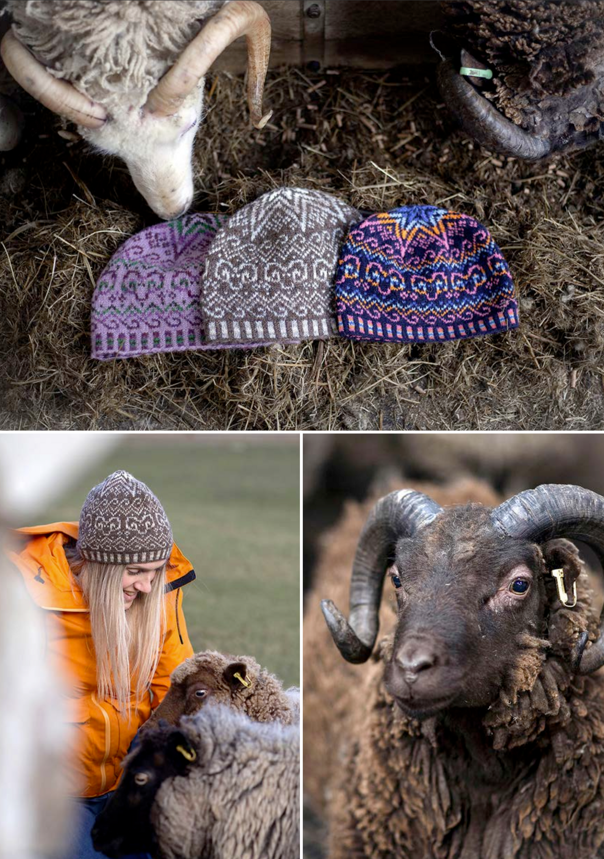 Shetland Wool Week Hat Kit 2024 - Islesburgh Toorie by Doull Family - YourNextKnit