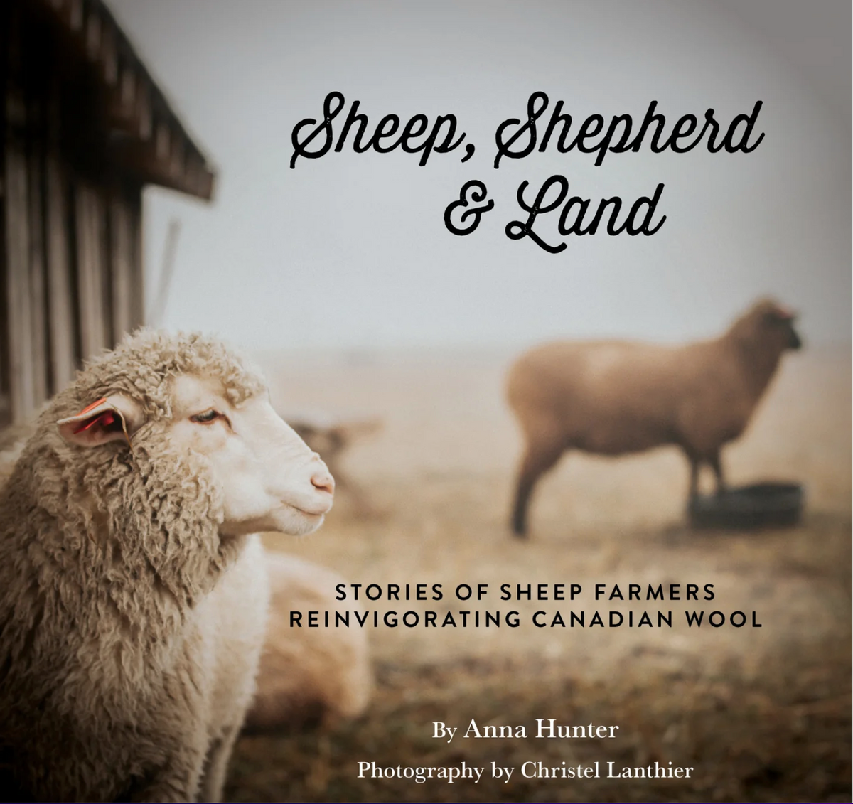 Sheep Shepherd & Land - YourNextKnit